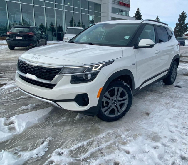2022 Kia Seltos EX CERTIFIED PRE-OWNED | AWD | Backup Camera | C dans Autos et camions  à Red Deer - Image 2