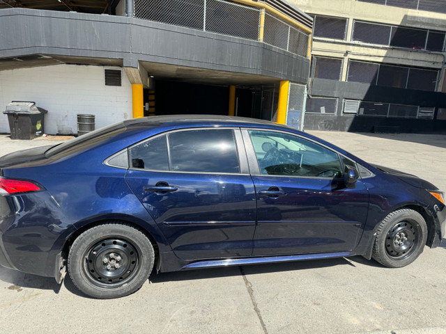 2020 Toyota Corolla LE in Cars & Trucks in Calgary - Image 3