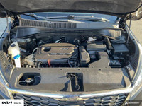 EX RENTAL CAR ALLOY WHEELS APPLE CAR PLAY ANDROID AUTO REARVIEW CAMERA HEATED SEATS Fully serviced a... (image 9)