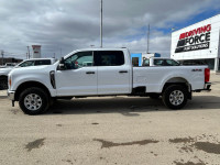 2023 Ford Super Duty F-350 SRW XLT 4WD Crew Cab 8' Box, Back-Up Camera, Brake Controller and Trailer... (image 8)