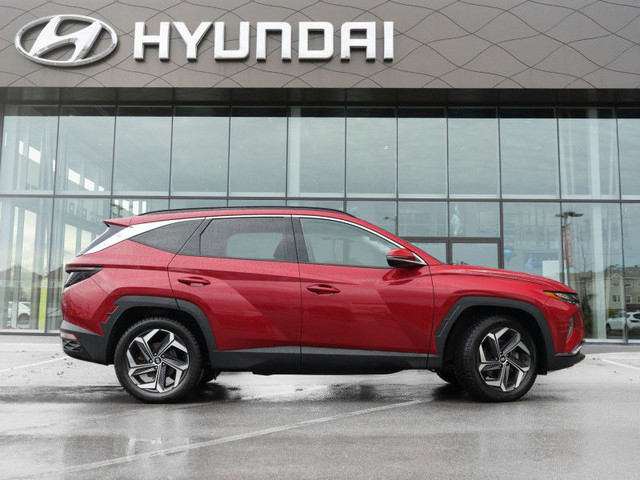 2023 Hyundai Tucson Hybrid Luxury - Sunroof - Cooled Seats in Cars & Trucks in Ottawa - Image 2