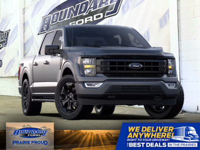  2024 Ford F-150 STX | 302A | XLT B LACK APPEARANCE PACKAGE