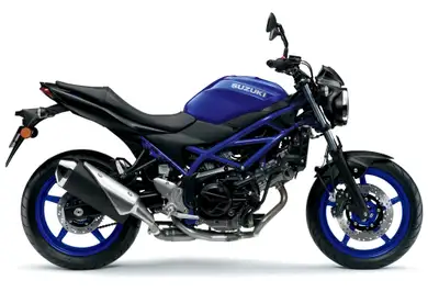 Engine Type: V Twin Displacement: 39.4 cu. in. (645 cc) Bore and Stroke: Bore: 3.19 in. (81 mm); Str...