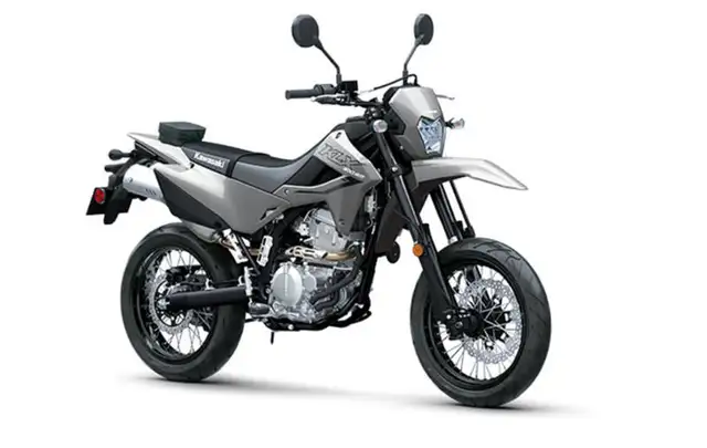 2025 Kawasaki KLX300 SM Grey in Street, Cruisers & Choppers in Edmonton - Image 2
