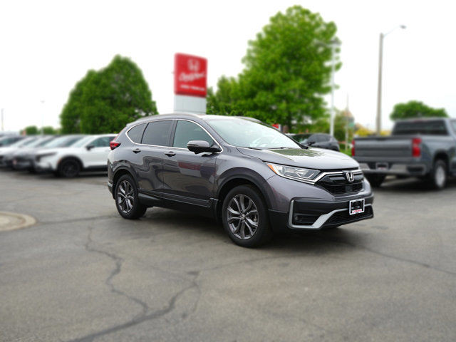 2020 Honda CR-V Sport | 1 Owner | No Accidents in Cars & Trucks in Hamilton - Image 3