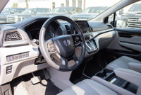 // ACCIDENT FREE!! // // SINGLE OWNER! // Experience exceptional family travel with the 2019 Honda O... (image 8)