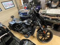 2023 Indian SCOUT ROUGE 1100 PLUS TAX & LICENSING