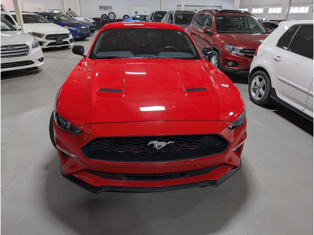 2020 Ford Mustang GT Fastback 6 SPEED MANUAL *REBUILT TITLE* in Cars & Trucks in Mississauga / Peel Region - Image 3