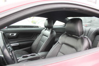 2020 MUSTANG - GT COUPE PREMIUM SERIES - LED HEADLAMPS & TAILIGHTS - LEATHER STEERING WHEEL W/ CONTR... (image 8)