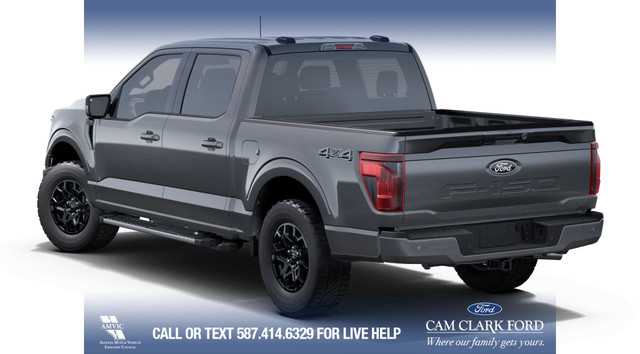 2025 Ford F-150 XLT in Cars & Trucks in Calgary - Image 2