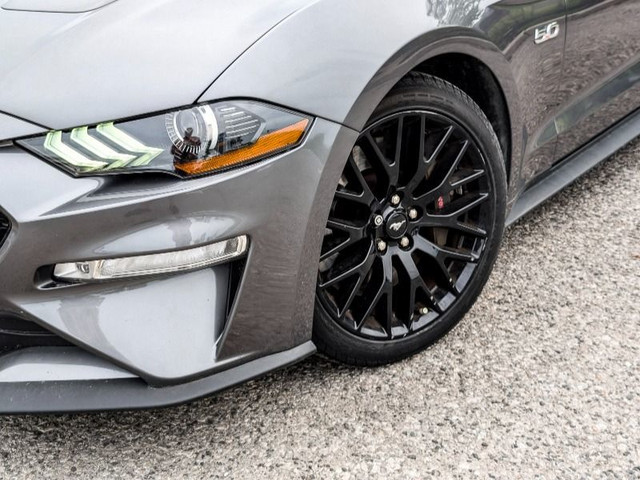 2021 Ford Mustang GT Premium Perfect Summer 'Stang in Cars & Trucks in Kawartha Lakes - Image 2