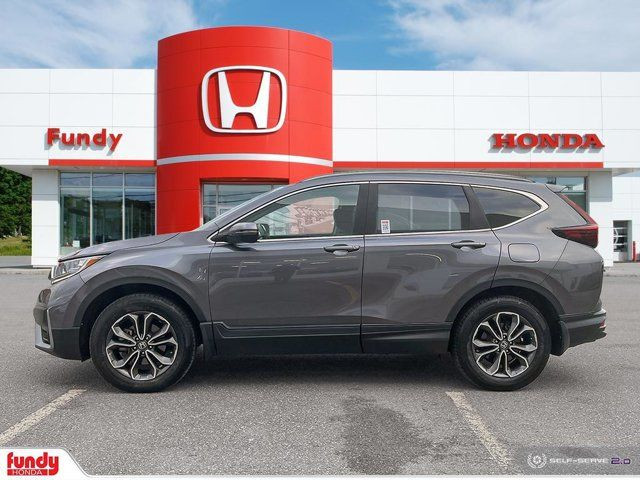  2021 Honda CR-V EX-L in Cars & Trucks in Saint John - Image 2