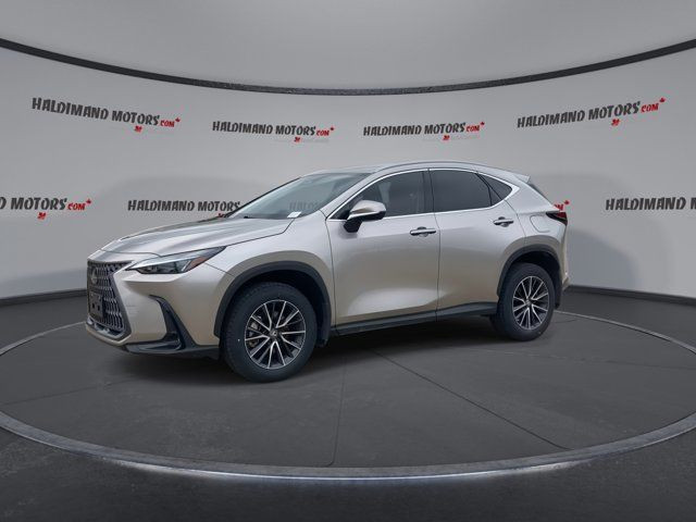 2024 Lexus NX NX 250 in Cars & Trucks in Hamilton - Image 4