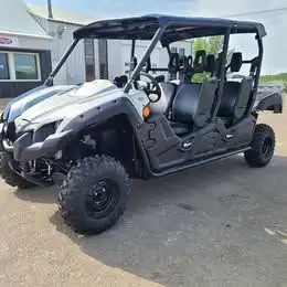 2024 Terry's Special Edition Viking 6. Matte silver body work, hard roof, Over fenders included. Wit...