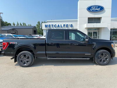  2023 Ford F-150 XLT 4WD SUPERCREW 6.5' BOX