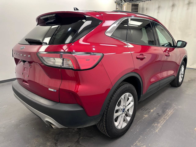 2020 Ford Escape SE 1.5L 3CYL | HEATED FRONT SEATS | BLUETOOTH in Cars & Trucks in Lethbridge - Image 3