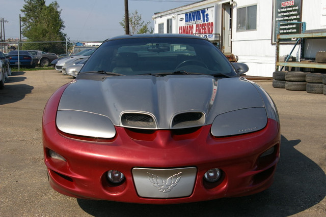 2001 TRANS AM RAM AIR WS6  6 SPEED T-TOP in Classic Cars in Edmonton - Image 2