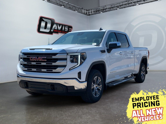 2025 GMC Sierra 1500 in Cars & Trucks in Hamilton
