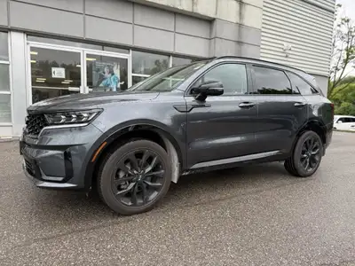 *Above is the special financing price. $1,500 more for cash purchases. Please call ahead to check av...