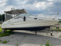  1999 Rinker Boat Co 266