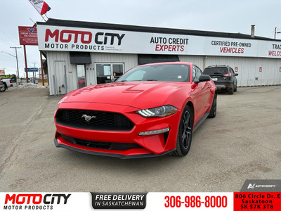 2019 Ford Mustang EcoBoost - Aluminum Wheels