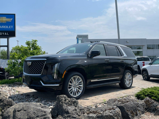 2025 Cadillac Escalade in Cars & Trucks in Oakville / Halton Region