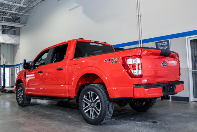  2023 Ford F-150 XL in Cars & Trucks in Winnipeg - Image 4