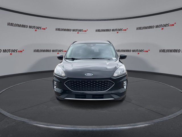 2020 Ford Escape SEL in Cars & Trucks in Hamilton - Image 3