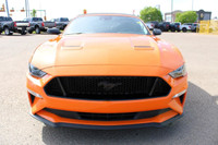 Every pre-owned vehicle from Big M Ford Lincoln comes with a full inspection, a free car proof vehic... (image 7)