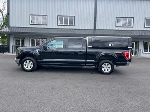 2023 Ford F 150 XLT