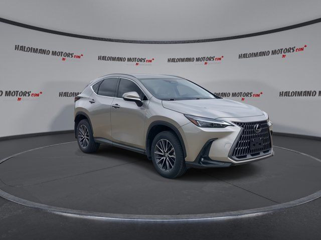2024 Lexus NX NX 250 in Cars & Trucks in Hamilton - Image 2