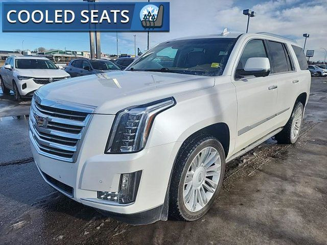 2016 Cadillac Escalade Platinum | 3 DVD Screens |Fully Inspected in Cars & Trucks in Red Deer - Image 3