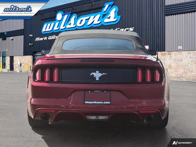 2015 Ford Mustang V6 Convertible | Auto | Rear Camera | 18 in Cars & Trucks in Guelph - Image 4