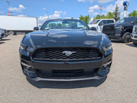 WAS: $30990 NOW: $28490 plus taxes and licensing feesLow Mileage, Premium Audio Package, Rear View C... (image 7)