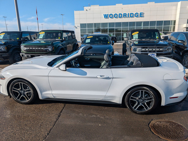 2021 Ford Mustang EcoBoost Premium *PRICE REDUCED* 2.3L CONVE... in Cars & Trucks in Calgary - Image 2