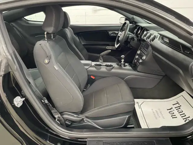 2016 Ford Mustang V6 in Cars & Trucks in Guelph - Image 11