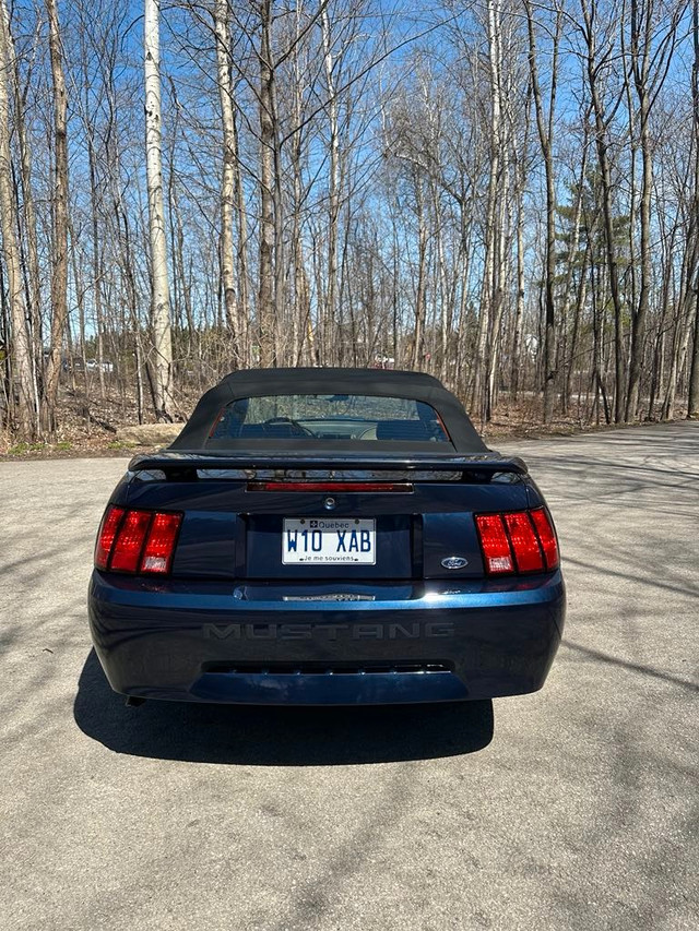 2003 Ford Mustang in Cars & Trucks in Laval / North Shore - Image 3