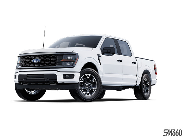 2025 Ford F-150 STX in Cars & Trucks in Windsor Region - Image 3