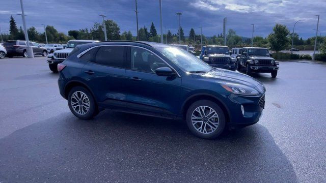 2020 Ford Escape SEL | AWD | Leather | Sunroof | Backup Camera in Cars & Trucks in Prince George - Image 2