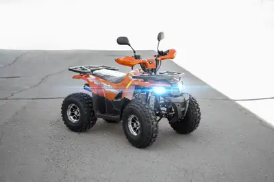 Limited Time Offer! GIO ATV's sale UP to $250 Off Website Collection https://atvedmonton.com/collect...