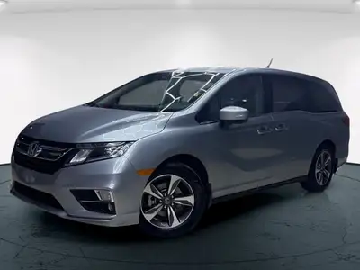 Meet the 2019 Honda Odyssey EX-L RES, a silver front-wheel-drive van that promises a smooth journey...