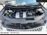 LUXURY Engine: LIGHT/MEDIUM DUTY L/100Km City: 12.2 L/100Km Hwy: 9.0 Safety Equipment Electronic Sta... (image 7)