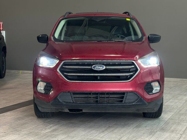 2017 Ford Escape SE | AWD | Ecoboost | Heated Seats in Cars & Trucks in Edmonton - Image 3