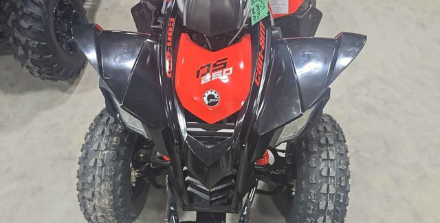 2025 CAN-AM DS 250-RED! in ATVs in Edmonton - Image 3