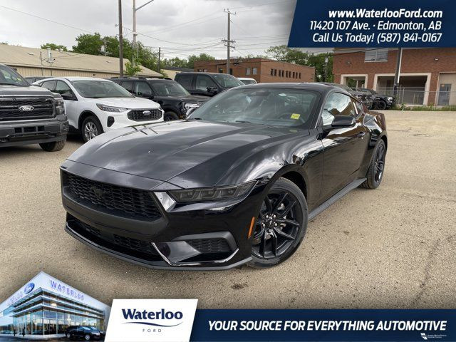2025 Ford Mustang EcoBoost in Cars & Trucks in Edmonton