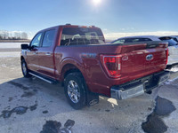 Dive into the robust world of the 2022 Ford F-150 XLT, a truck that blends power, practicality, and... (image 6)