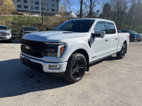 Skid Plates, Pro Power Onboard - 7.2KW, Platinum Black Leather Bucket, Wheel Well Liner, Bedliner Sp... (image 7)