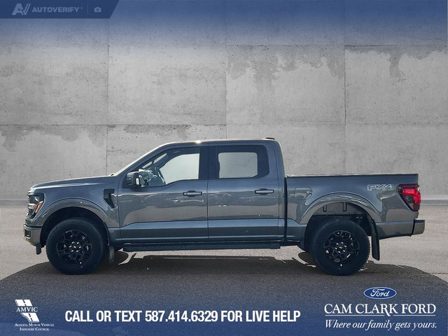 2025 Ford F-150 XLT in Cars & Trucks in Calgary - Image 4