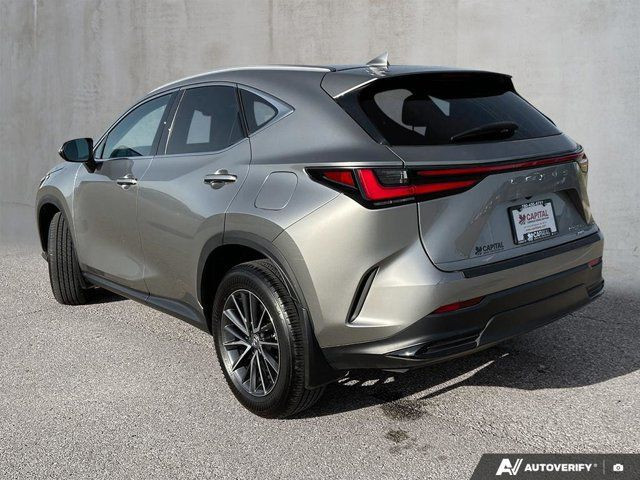 2024 Lexus NX NX 350 | One Owner | Sunroof | Heated Seats in Cars & Trucks in Edmonton - Image 4