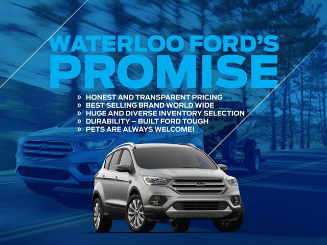  2024 Ford Escape Active in Cars & Trucks in Edmonton - Image 2